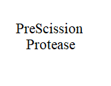PreScission Protease